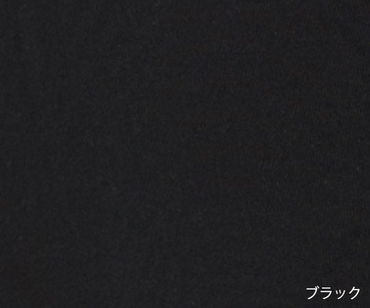 失禁用パンツ(女性用極少量タイプ) ブラック L S100BLKM/L 1枚