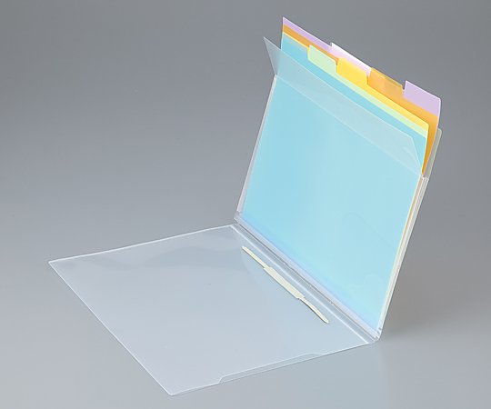 Carrying file A4 310 x 245 mm MDFF01 1 piece