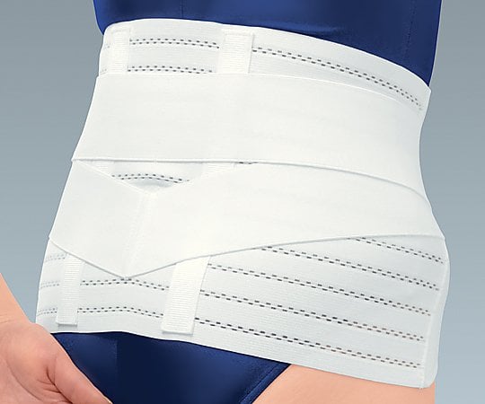 サクロワイド・DX 3L 17831 1個