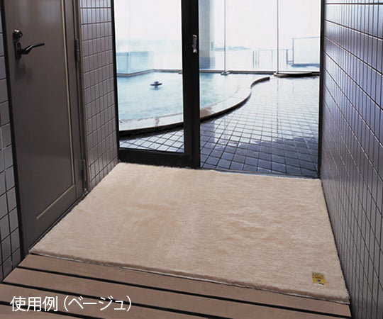 Dry-Good Ag+ Bath Mat, Beige, 600 x 900 mm, 6090BE, 1 piece