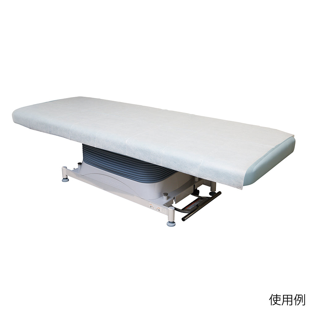 Proshare Disposable Waterproof Examination Table Cover 1 bag (20 pieces) PSDC-20 1 bag (20 pieces)