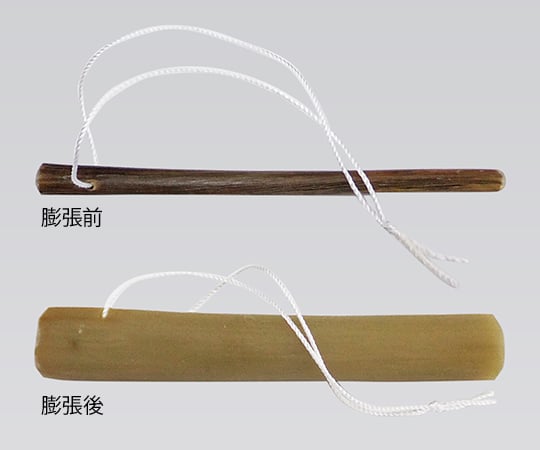 일본 라미나리아 간(자궁 경관 확장기) 1상자(12개입) S (가는) 1상자(12개입)