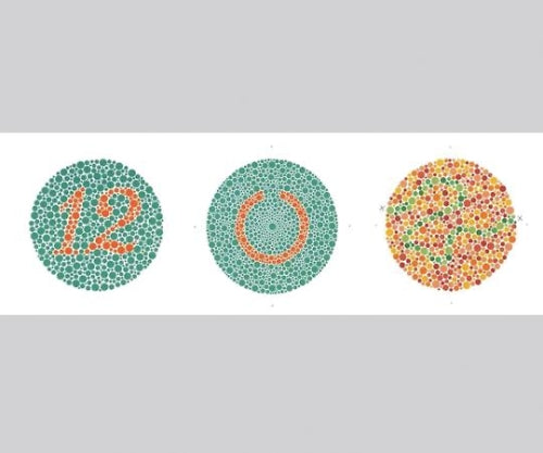 색각 검사표 이시하라 색각 검사표 II 국제판 38표 1205A 1권