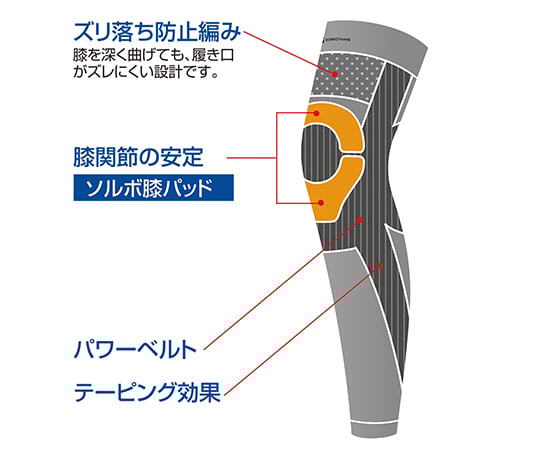 니레그 서포터(솔보 워크) L 63538 1개