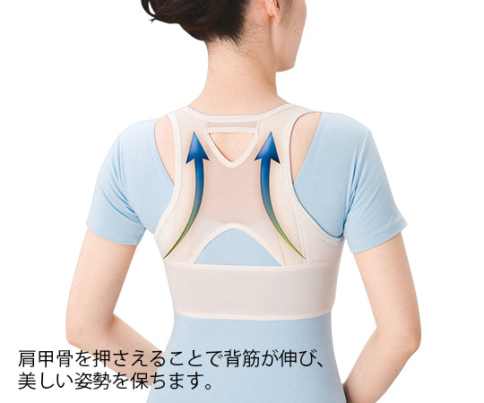 Posture Correction Belt 79-87 4806 M 1 piece