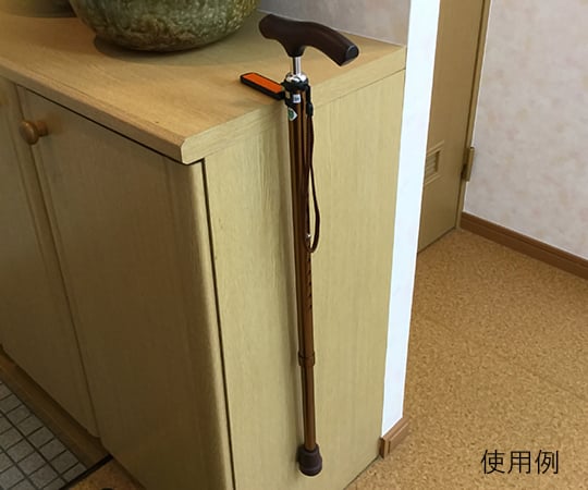 Cane holder L01 1pc