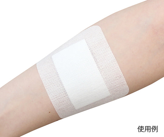 サンフティパッドS 60×90mm 1箱(50枚入) NO.6090 1箱(50枚入)