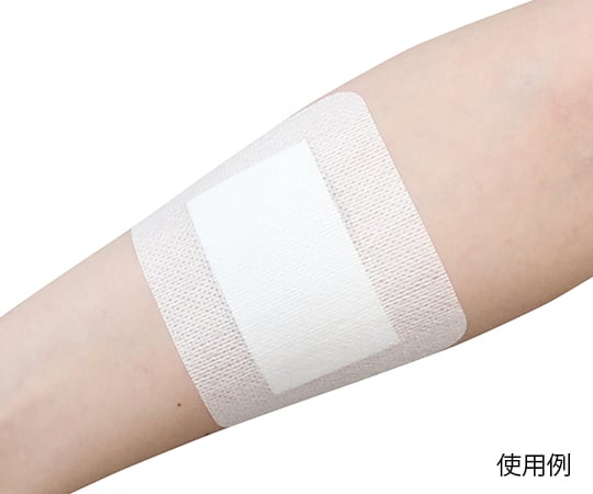 サンフティパッドS 60×70mm 1箱(50枚入) NO.6070 1箱(50枚入)