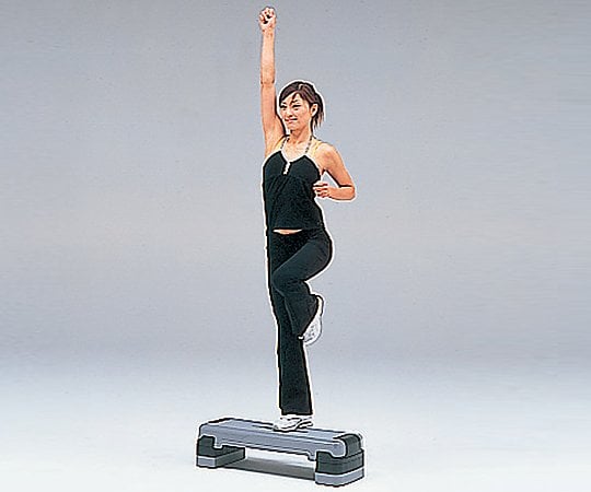 ステップ台 高さ2段階調節 H7346 1台