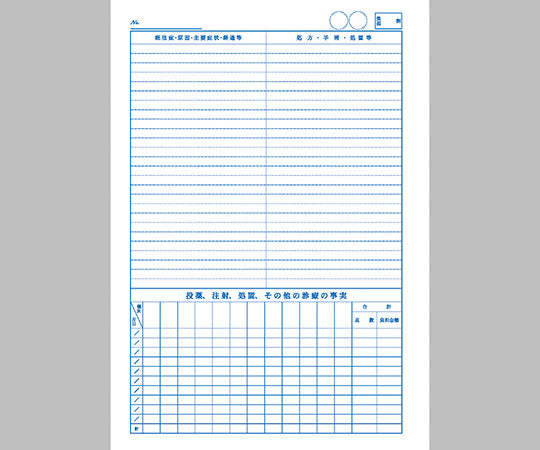 National Health Insurance Chart A4 size 1 bag (100 sheets) No. 1 paper 373 1 bag (100 sheets)