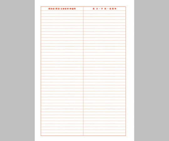 社保カルテ A4サイズ 1袋(100枚入) 3号紙 372 1袋(100枚入)