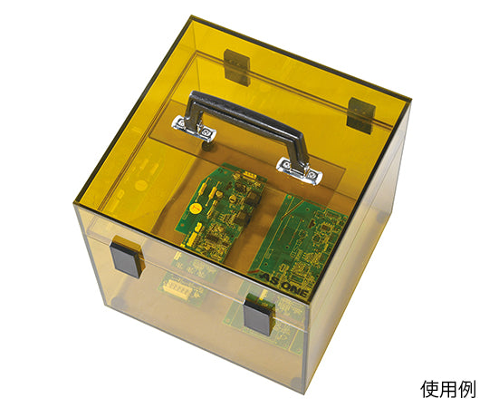 New Carry Box (PET) 1PT 1pc