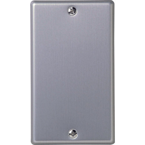 ELPA New Metal Plate Blank PL-S00H 1 piece