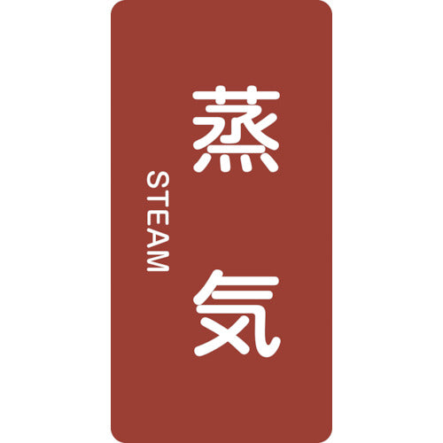 緑十字 JIS配管識別明示ステッカー 蒸気 HT−401S 60×30mm 10枚組 アルミ 英文字入 386401 1組