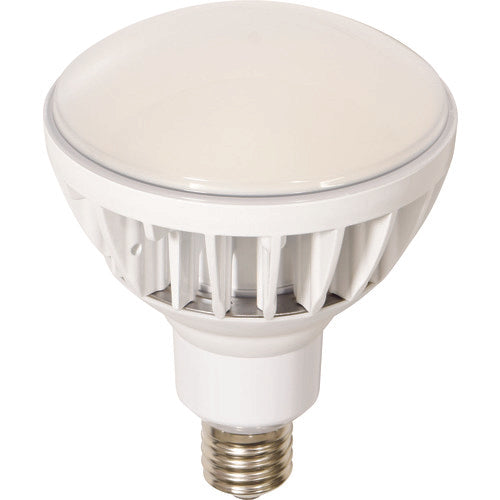 NICHIDO LED replacement bulb High spec Eco Big 50W E39 Body White L50V2-J110W-50K 1 piece