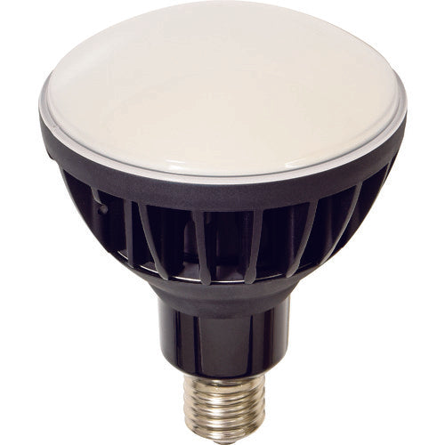 NICHIDO LED replacement bulb, high spec eco-big 50W, E39, black body, L50V2-J110BK-50K, 1 piece