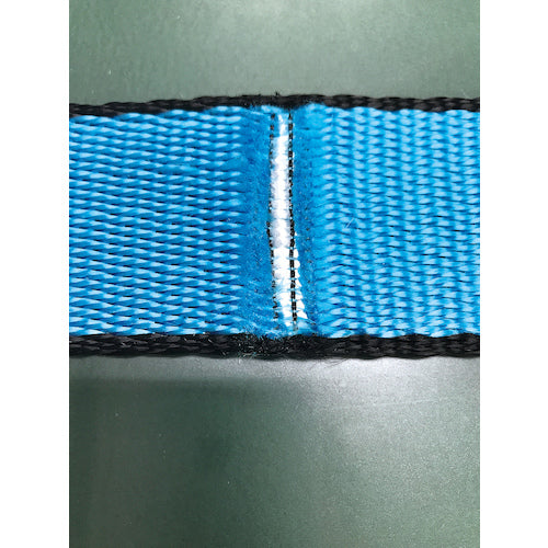 Allsafe Allsafe Sling Belt 3E 25 x 9m Sky Blue AS3E25-90 1 piece