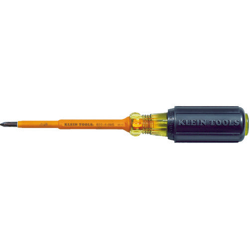 KLEIN Insulated Phillips Screwdriver 1X100 6334INS 1 piece