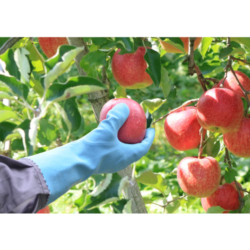 エステー No.603ニトリルソフトLL ST76060 1 双