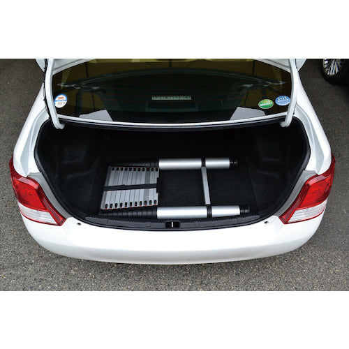 PiCa 신축 사다리 PTH-S420J 1대