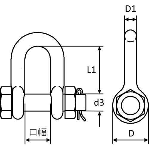 Crosby Shackle Bolt Nut Straight 8.5t G2150-25 1 pc