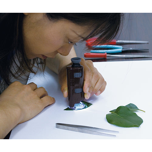 KONTEC ポケット顕微鏡 LP-33G 1個