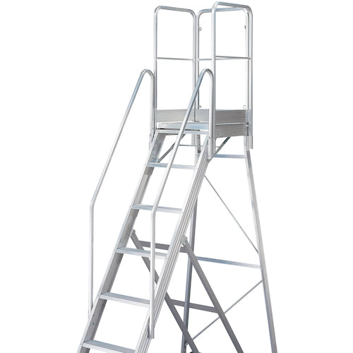 TRUSCO Full set handrail for step TDAD Height 900mm For main body height 2.10m TDAD-TF-210 1 unit