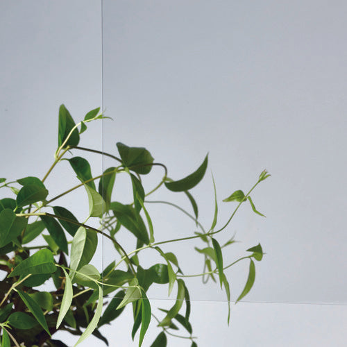 アクリサンデー サンデーシート透明910x600x1mm 100-L-1 1枚