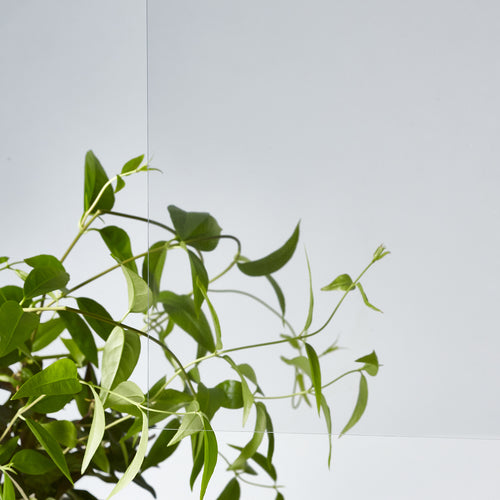 아크리산데이 선데이 시트 투명 300x300x1mm 100-SS-1 1장