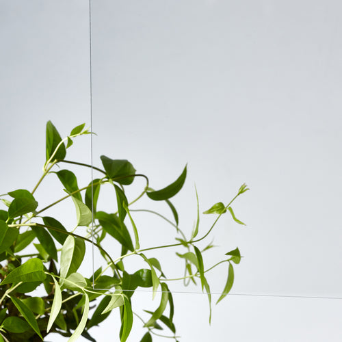 アクリサンデー アクリ表面硬化板透明320x550x2mm MR2-001-S-2 1枚