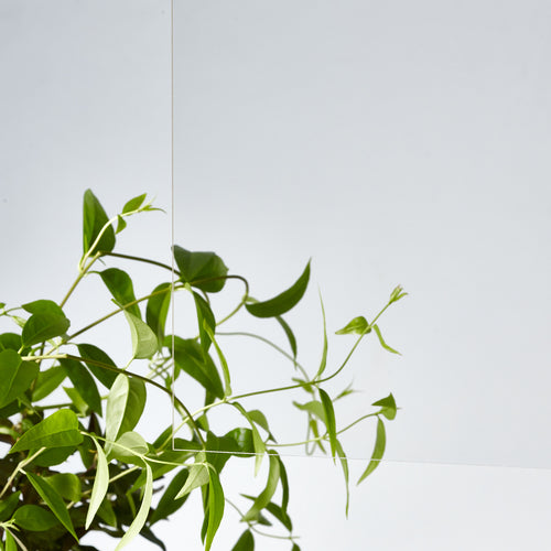 Acrylic Sunday Acrylic transparent 915x1830x2mm EX001-3X6X2 1 sheet