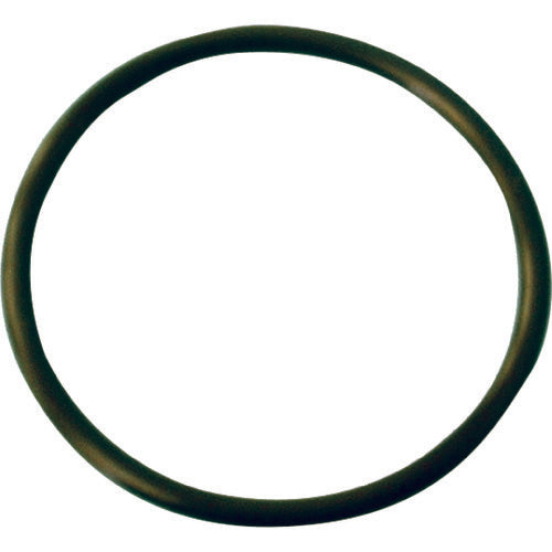DAIKEN Strainer O-ring TOSR 1 piece