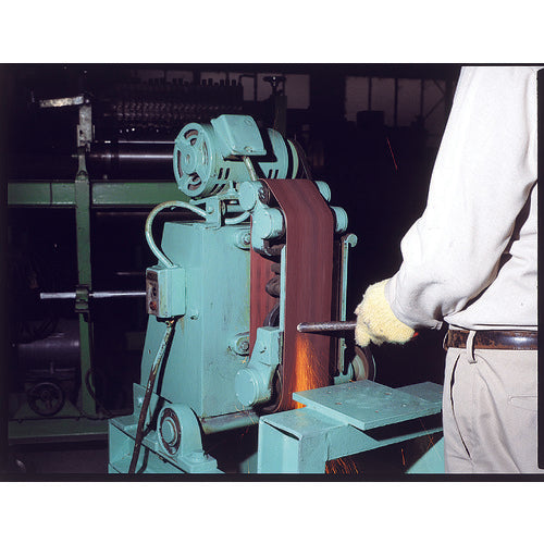 ベルスター エンドレスベルトEBB#30 EBB-30 5 本