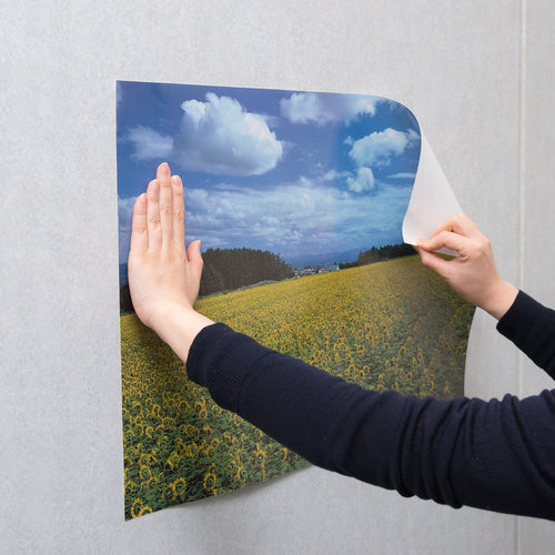 Nichiban Double-Sided Tape, Nicetack, Sticks securely and is easy to remove, NW-H10, 10mm x 18m, NW-H10, 1 roll