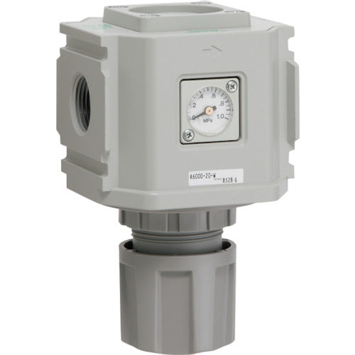 CKD Reverse Regulator R6100-20-W 1 piece