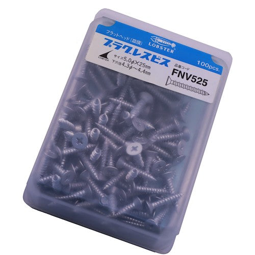 EBI Plugless Screw (100 pieces) 5.0 x 25 mm FNV525 1 PK