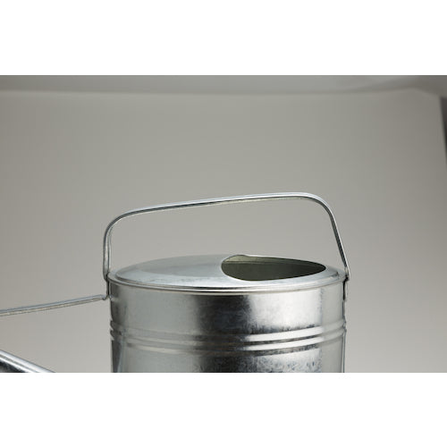 TRUSCO Galvanized Watering Can 6L CGI-06 1 pc