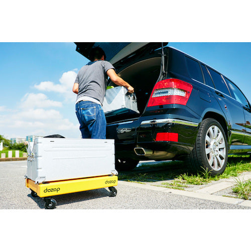 Hasegawa Container Cart Dozop Assembled Cart SEL-1 1 unit