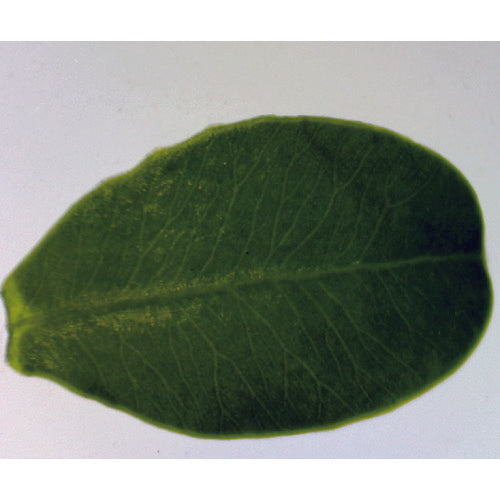 TRUSCO SCOPRO用カメラ MSC-1 1台