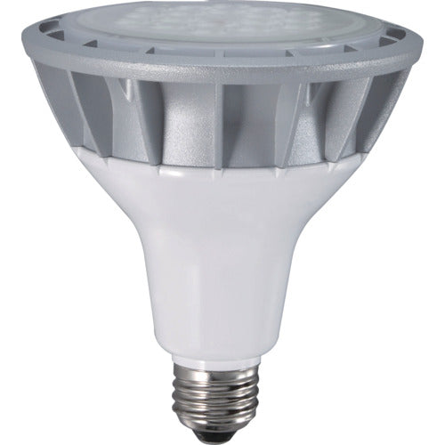 하타야 LED 작업등 20W교환구 전구색 빔 타입 LDR20L-W60 1개