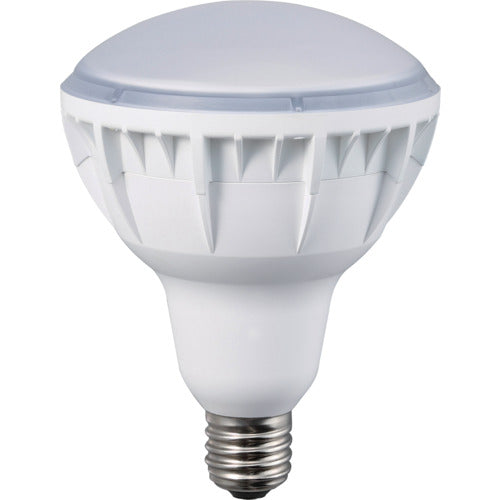 ハタヤ 40WLED作業灯 交換球 LDR40N-H110 1個