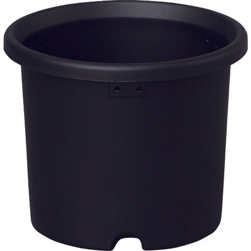 IRIS 227760 국화 그레이 5호 290673 1개