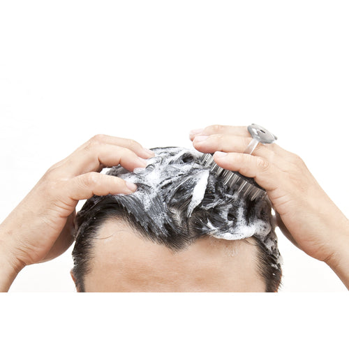 그린벨 샴푸 브러쉬(블랙) SE-026 1개