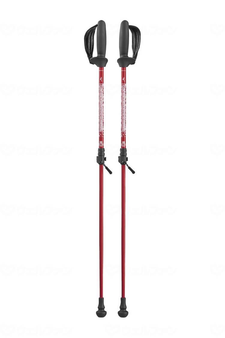 미즈노 에이 킹 용 포르투프 토르 도르 Std (시트 타입) 2 개 1 세트