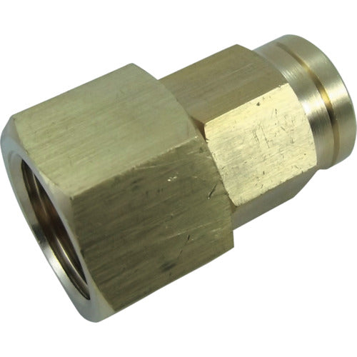 チヨダ ホースソケット 10mm・Rc3/8 H6.5-3F 1 個