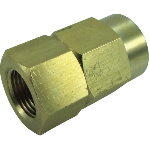 チヨダ ホースソケット 11mm・Rc3/8 H11-3F 1 個