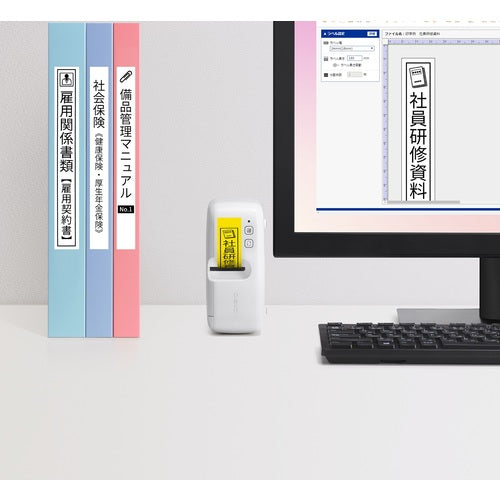 카시오 네임랜드 KL-E300(PC·스마트 호라벨) KL-E300 1대