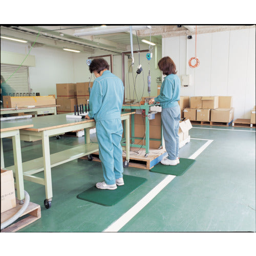 Teramoto Standing Mat 2 Green 500 x 600 mm MR-062-522-1 1 piece