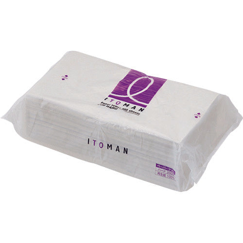 SANEI 종이 타월 W49-2 1 PK