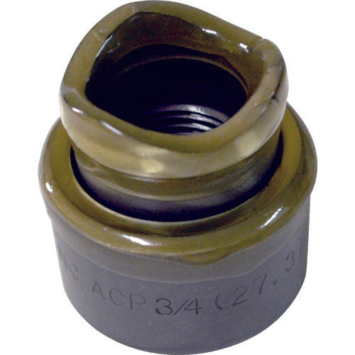 西田 厚鋼電線管用ミリネジ刃物 TP-ACP22 1 組